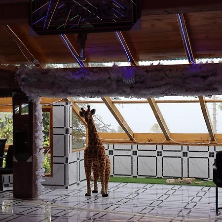 Hotel Al Azeem ايوبيه المظهر الخارجي الصورة